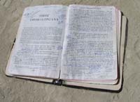 2_01openpages